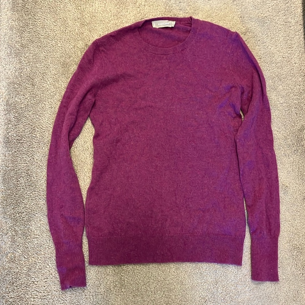 Everlane XS Cashmere sweater